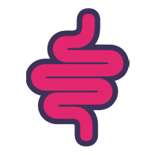 Gut Health Icon